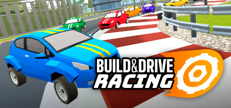 Build and Drive Racing
