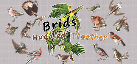 Brids Huddled Together