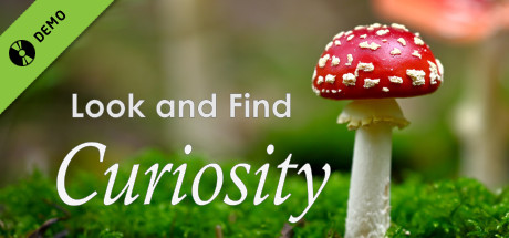 Look and Find - Curiosity Demo