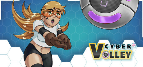 Cyber Volley