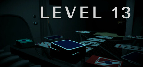 Level 13