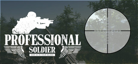 Professional Soldier