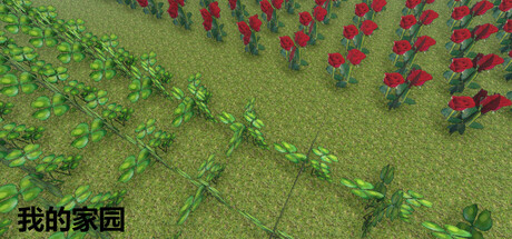我的家园